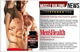 lean muscle supplements